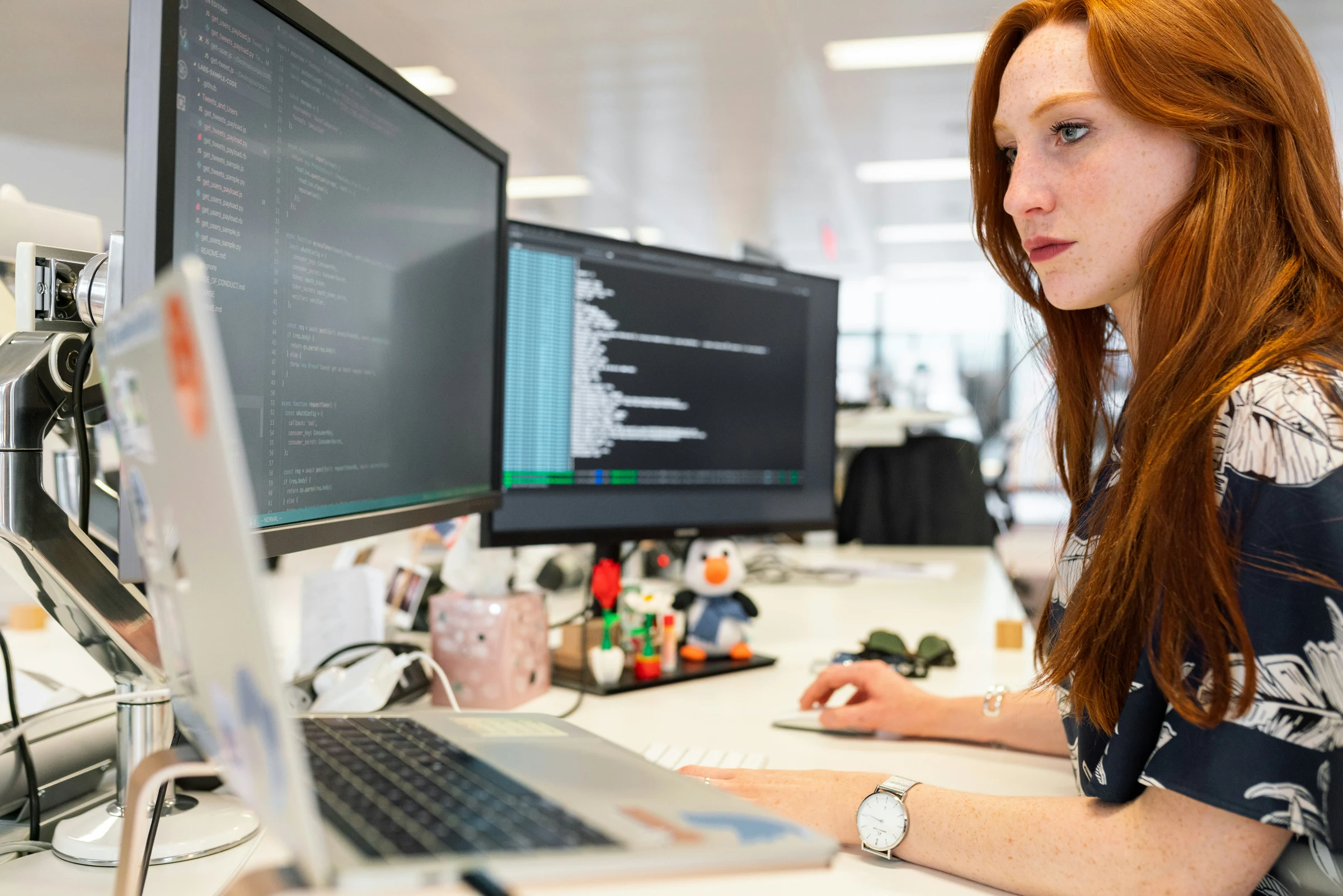 Software Engineering professional service visual